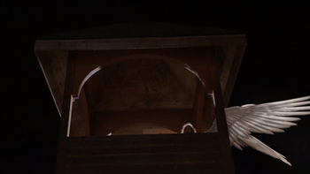tumblr_p29n8fFTcF1wyi9xso2_400.gif