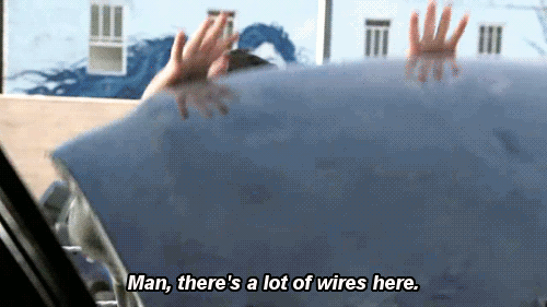 110 tumblr_ncxcr5n28W1rd5v7wo1_500.gif