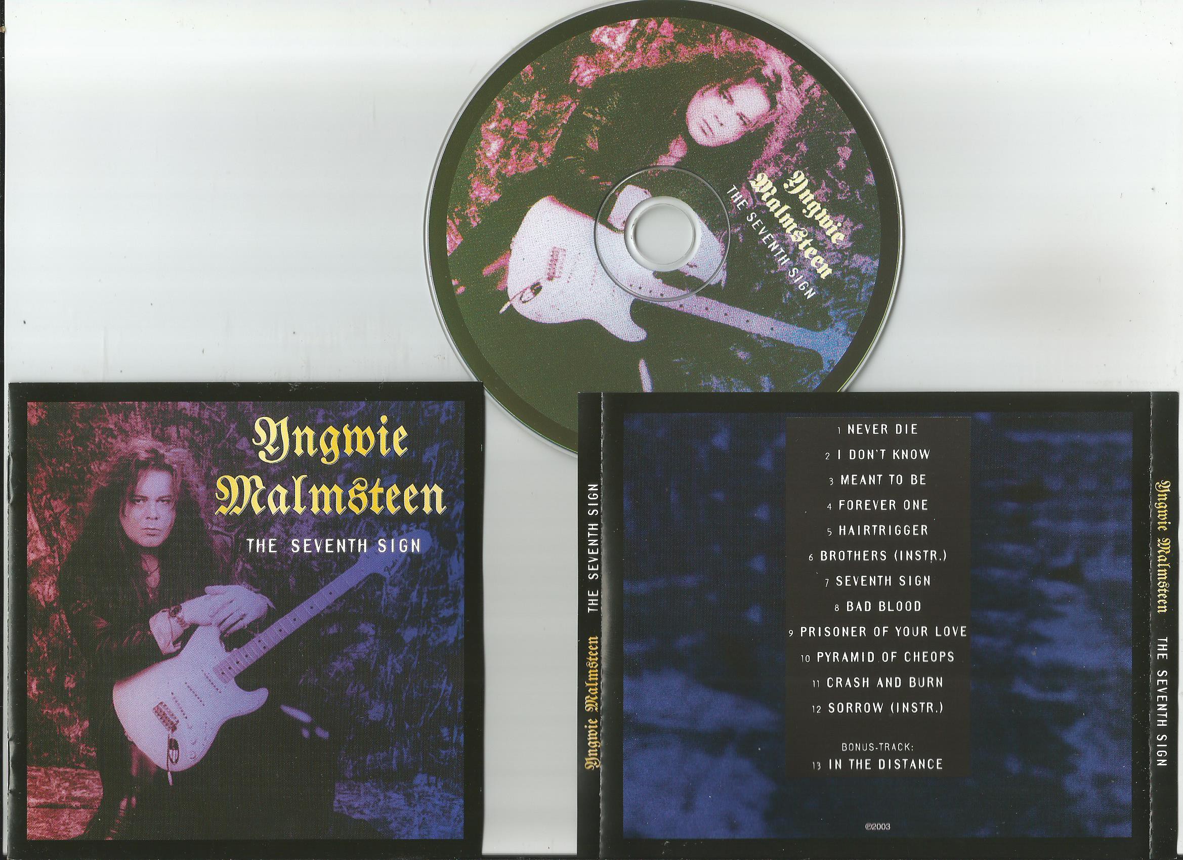 MALMSTEEN THE SIGN.jpg