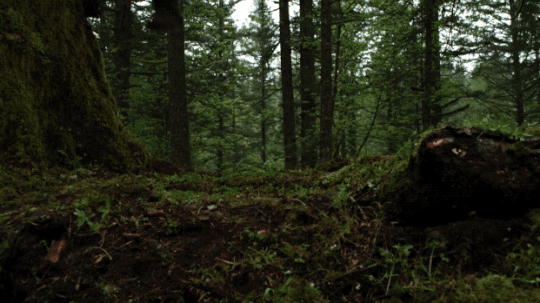 307 tumblr_oyrljb7KNW1re6c9lo1_540.gif