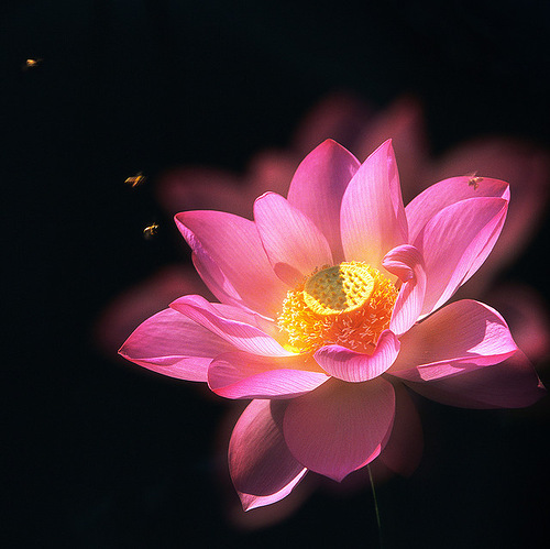0_6df2a_b35d93e1_L.jpg