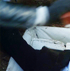 407 tumblr_nm7zm5Wz0u1qkap9so2_250 3.gif