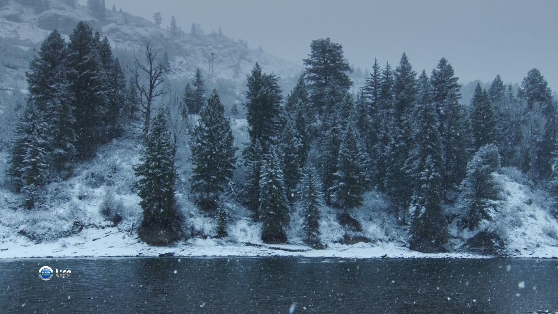 Йеллоустоун (1-я серия - Суровая зима)_fixed.ts_snapshot_00.07.04.png