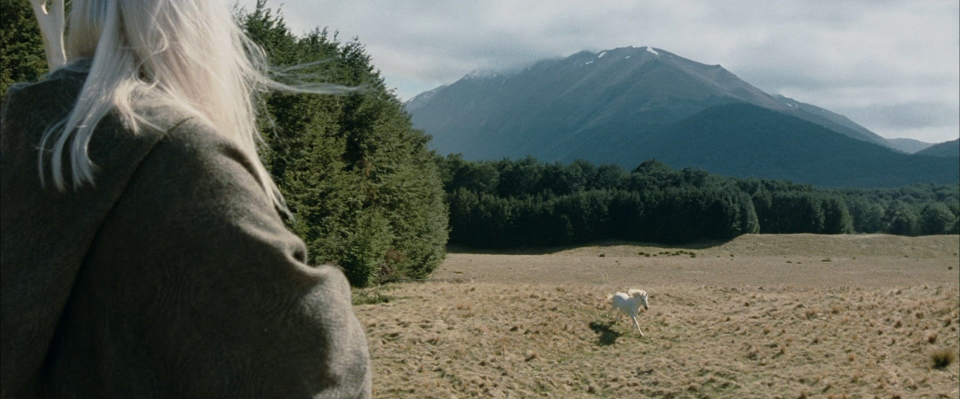 Две крепости_encoded.mkv_snapshot_00.46.14.355.jpg