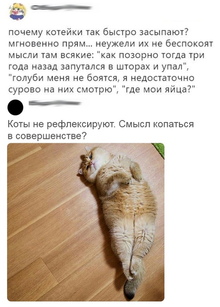 https://i3.imageban.ru/out/2019/03/23/80b98b1421e4090d175fd2da3c6b011f.jpg