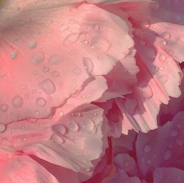 tumblr_oqf4mfxK8R1v6lyhao1_1280.jpg