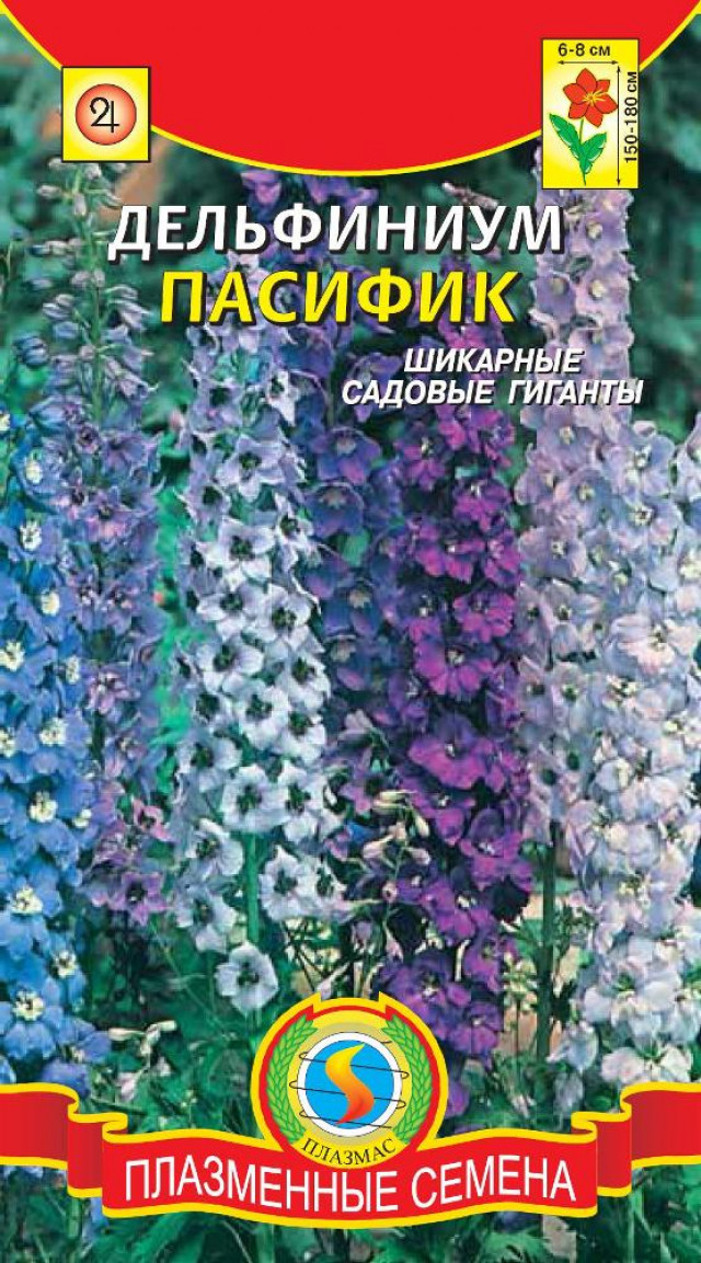Дельфиниум семена. Дельфиниум Пацифик семена. Дельфиниум Пацифик многолетний,смесь. Дельфиниум Пацифик многолетний смесь 0,1г Аэлита. Дельфиниум Пацифик смесь.