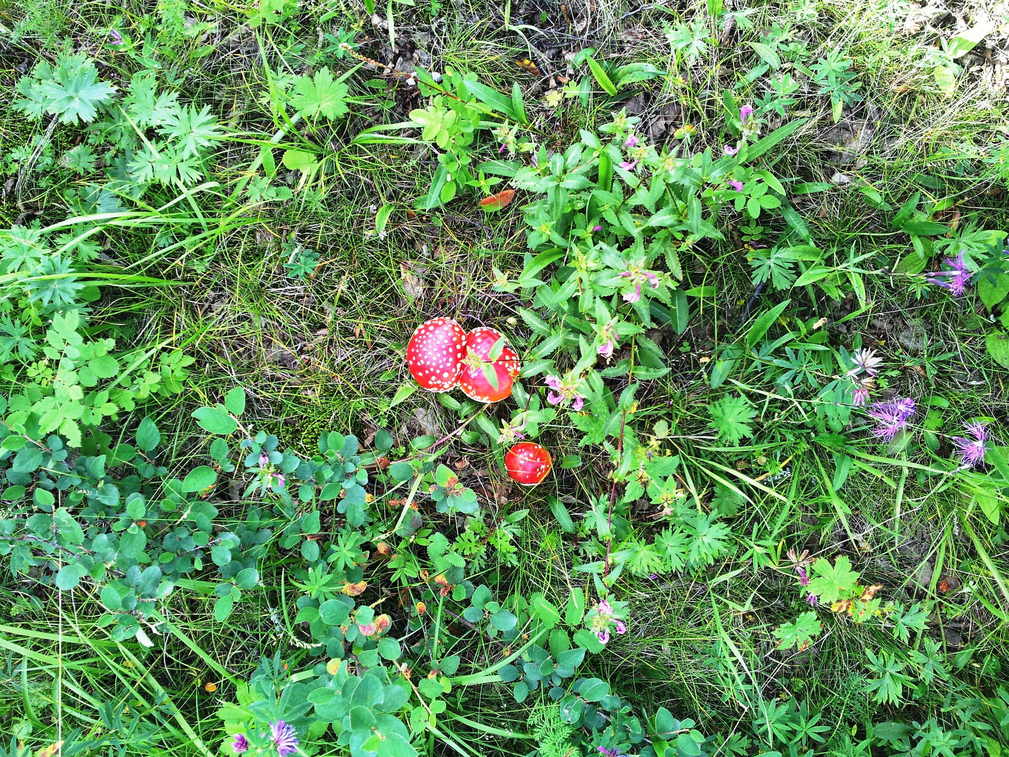 20120728_105601.jpg