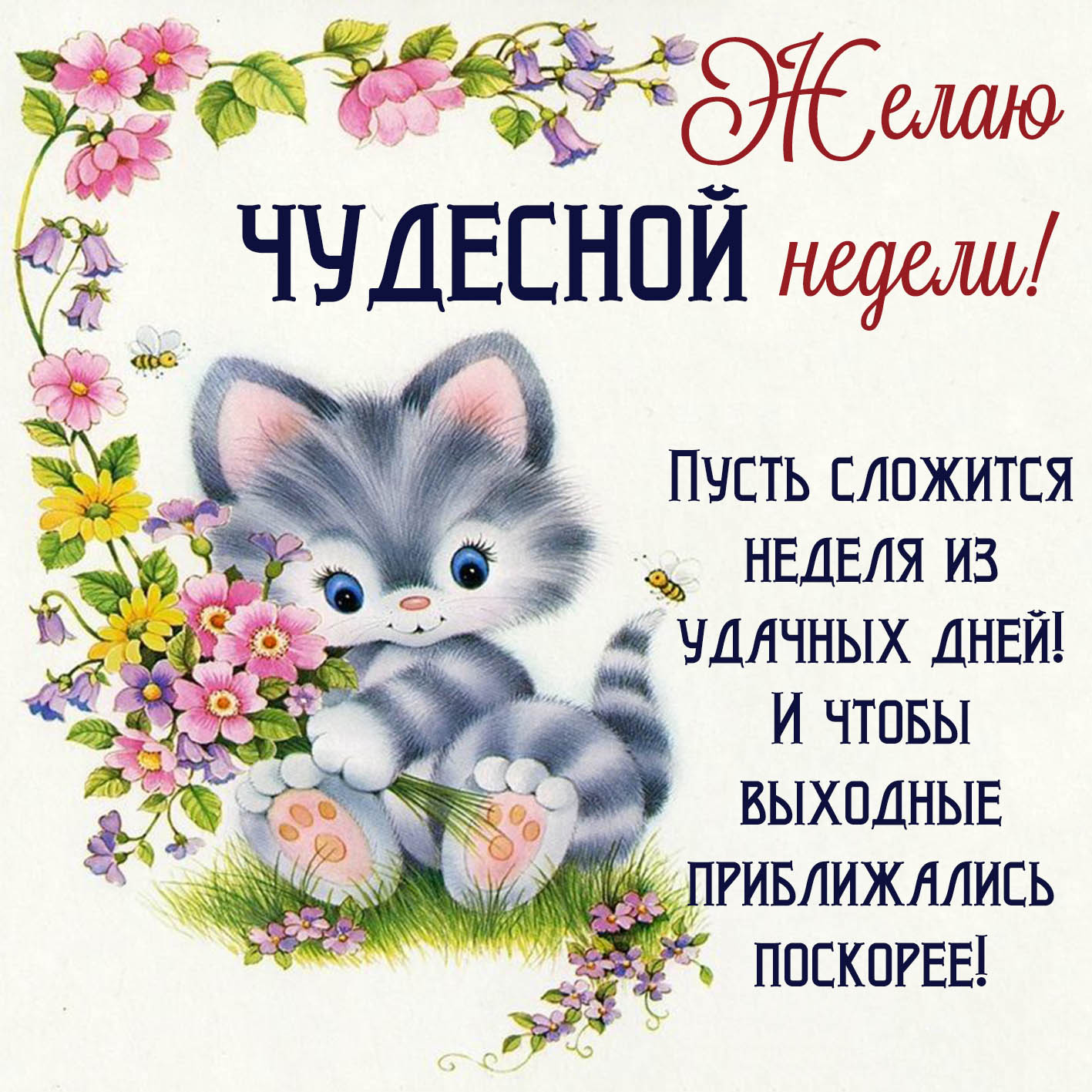 https://i3.imageban.ru/out/2019/09/23/445b52963286b84b5786d39d337fa0b7.jpg