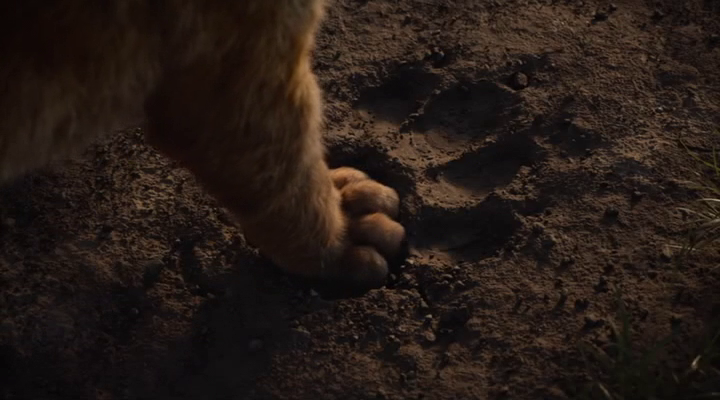 Lion King 2019 1080p Bluray DTS-HD MA 7 1 X264-EVO Lion King 2019 1080p Bluray DTS-HD MA 7 1 X264-EVO