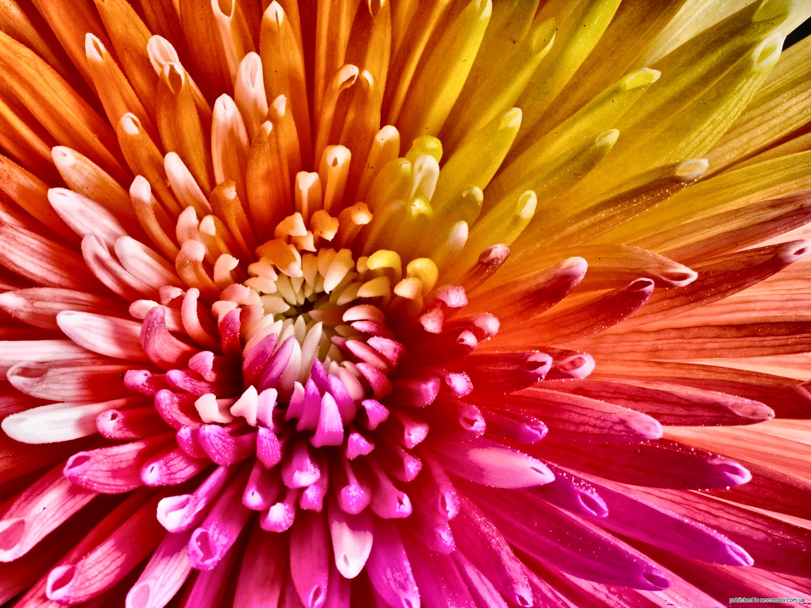 1272978005_18.jpg