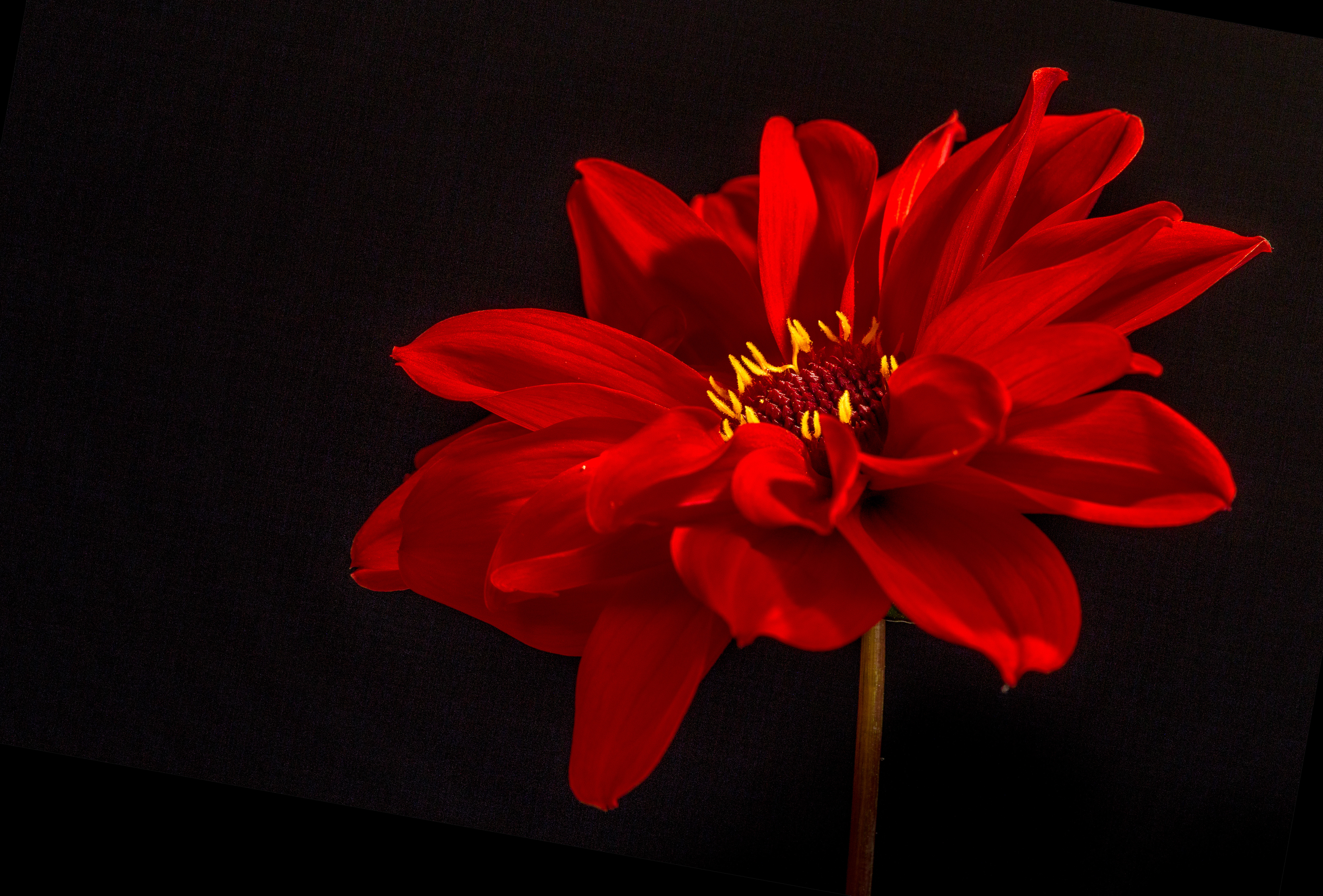 584d2dee0586d.jpg