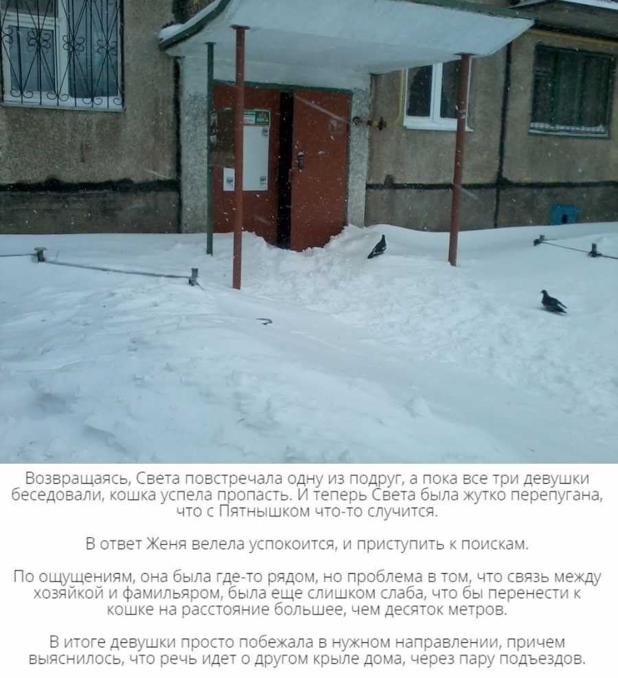 В подъезде дома на улице. Подъезд зимой. Дверь подъезда зимой. Подъезд с улицы зима. Около подъезда зимой