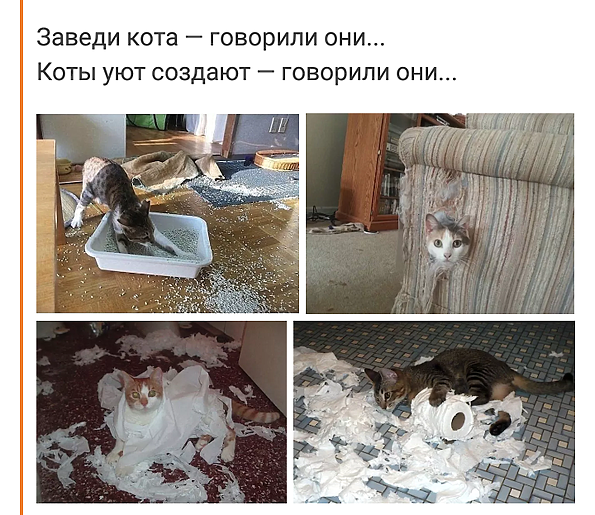 Я завелась. Заведи кота говорили они коты создают уют. Заведи кота. Заведи кота говорили. Завели кота говорили они.