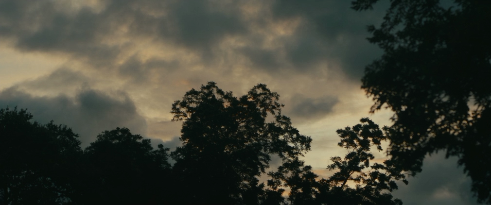 Бык (2019) WEB-DLRip-AVC_ivanes.mkv_20200403_190720.897.png