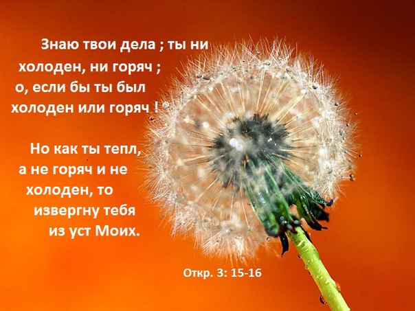 1f1a2bf3b1f8de321b85a383b68d062b.jpg