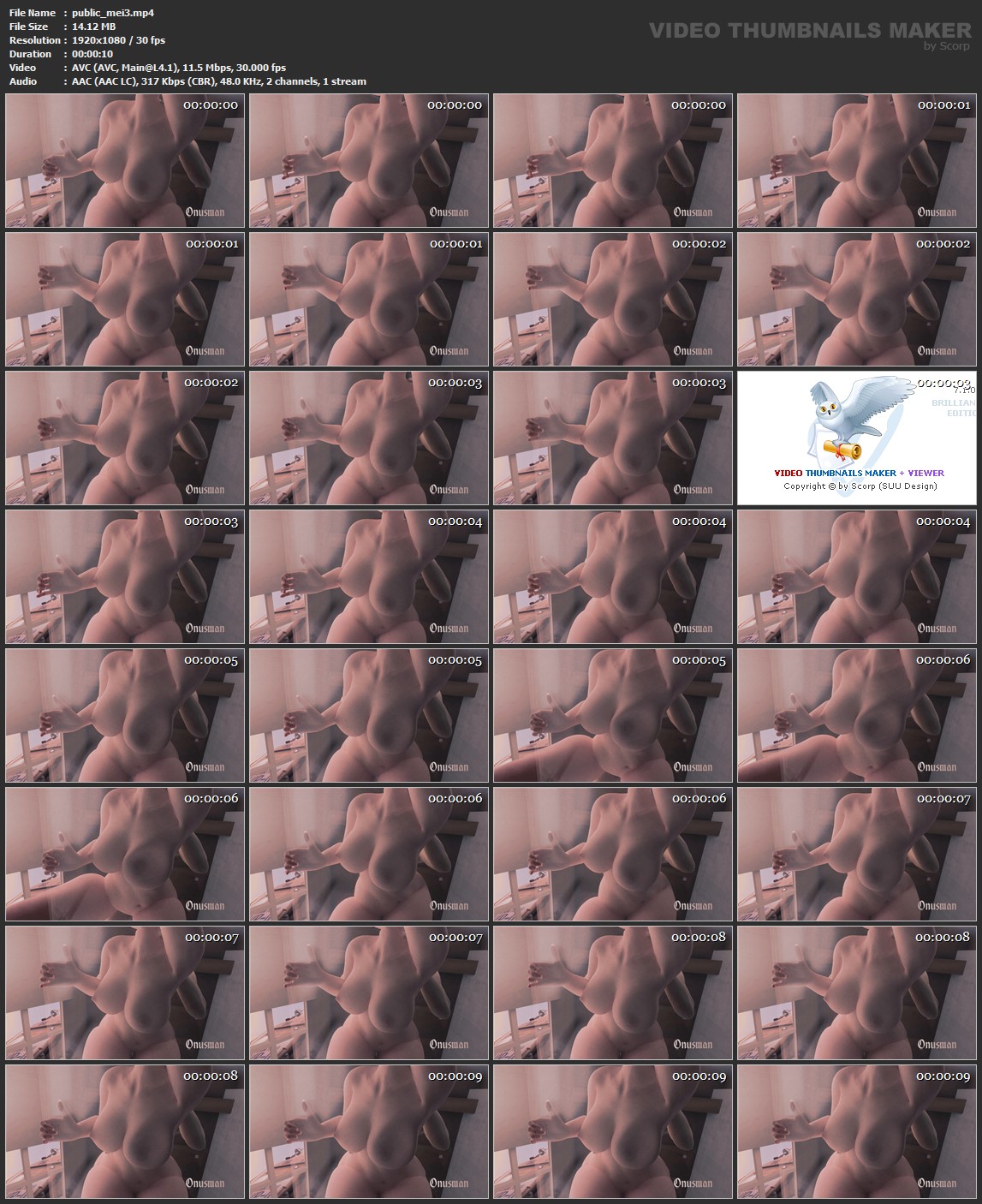 public_mei3.mp4.jpg