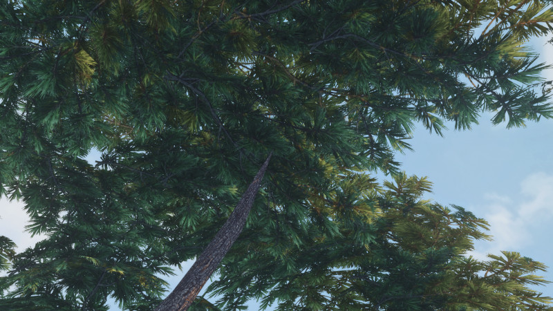 9fd9a321502022051717c4c5f220439c.png