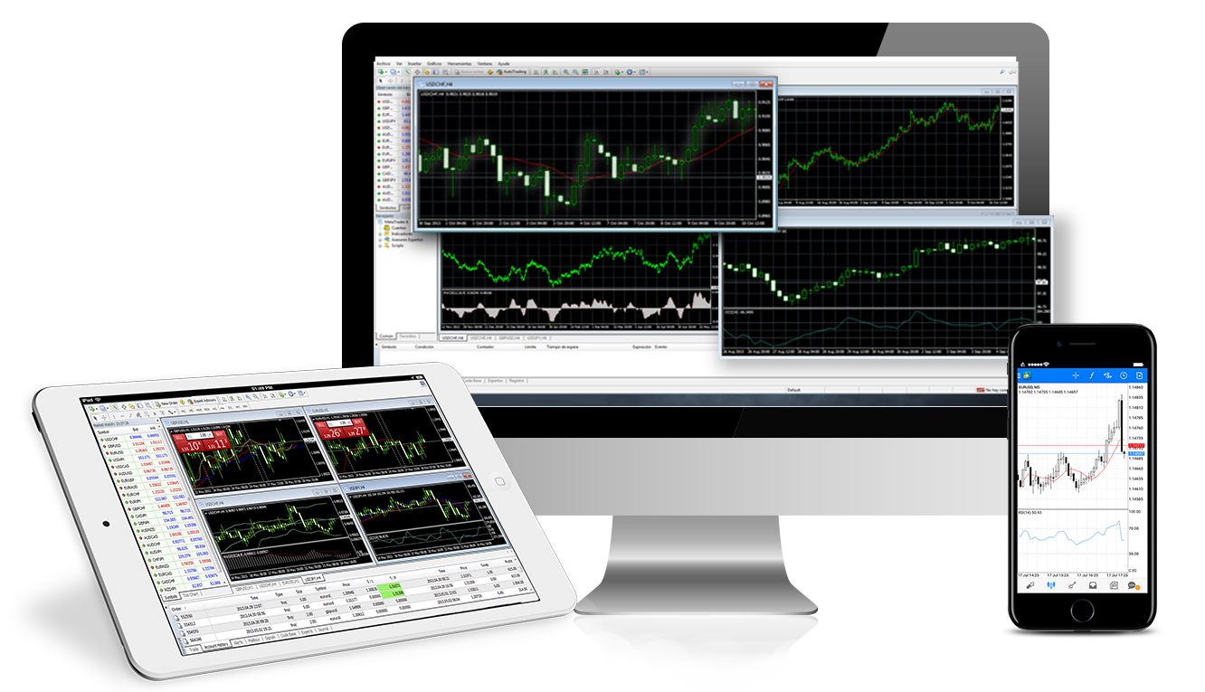 Mt5 forex platform forex trading with small investment companies
