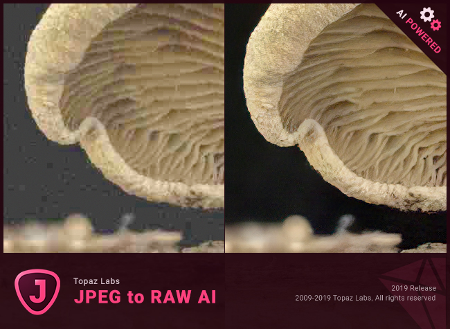 Topaz JPEG to RAW AI 2.2.1 x64 + Portable