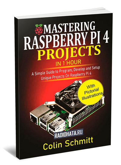 Mastering Raspberry Pi 4 Projects in 1 Hour