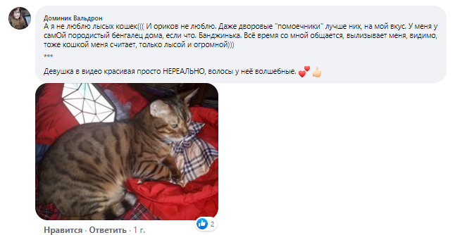 887b3349d147eba4fffd3d223f15be2d.png