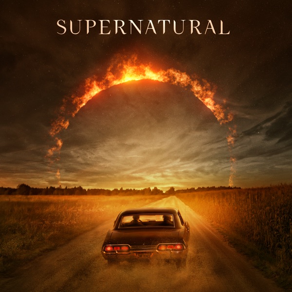 Сверхъестественное / Supernatural [1-15 сезон] (2005-2020) HDRip, WEB-DLRip | Рен-ТВ, NewStudio & NovaFilm