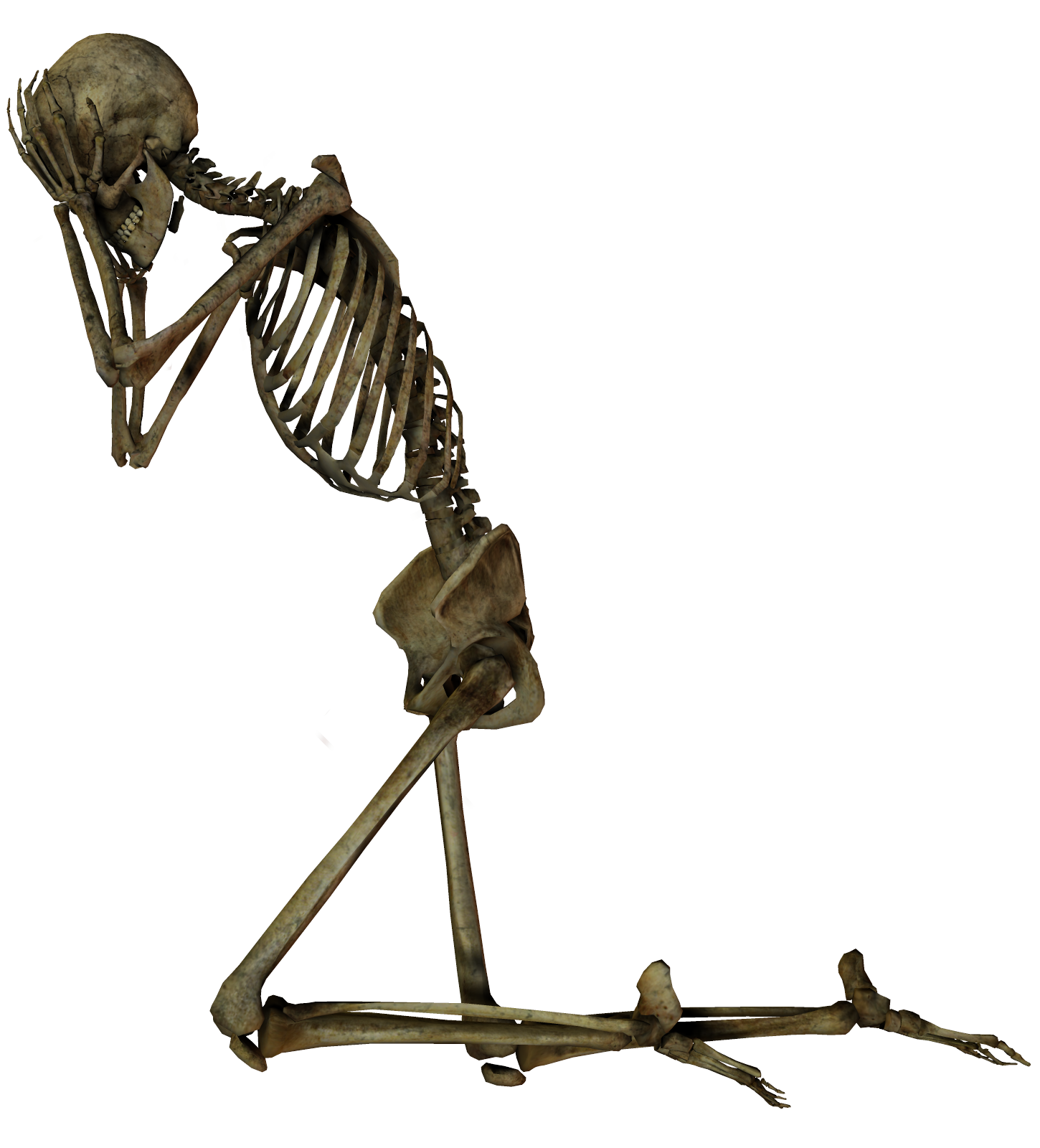 Skeleton png. Скелет. Скелет без фона. Скелет на прозрачном фоне. Скелет для фотошопа.