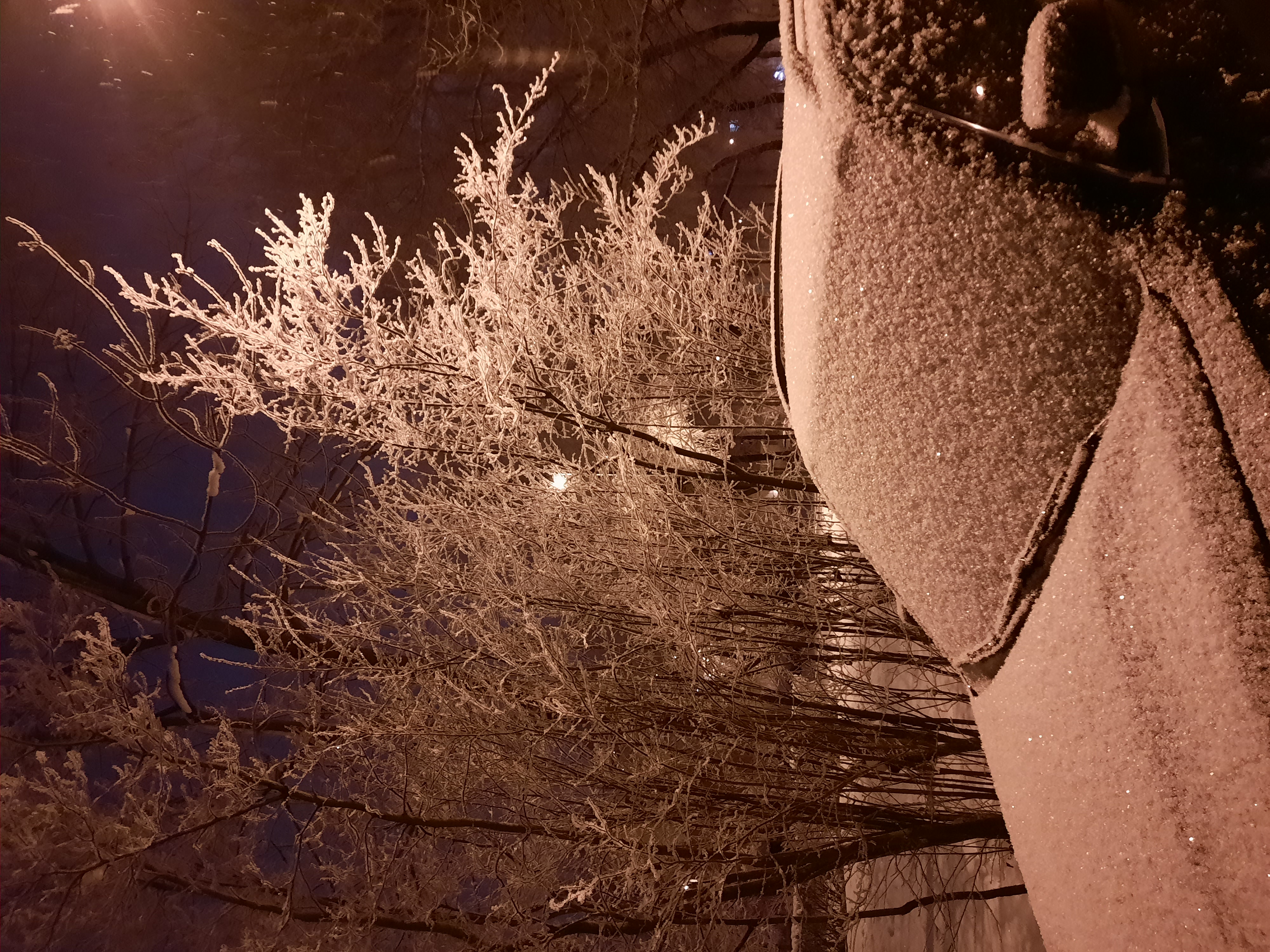 20210209_074012.jpg