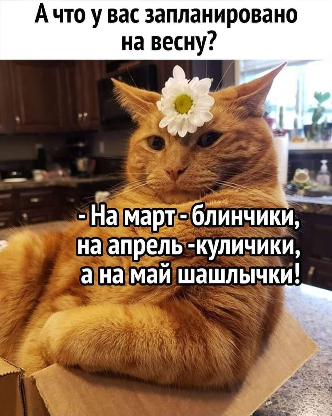 Ev8yrG8XIAIlq9u.png