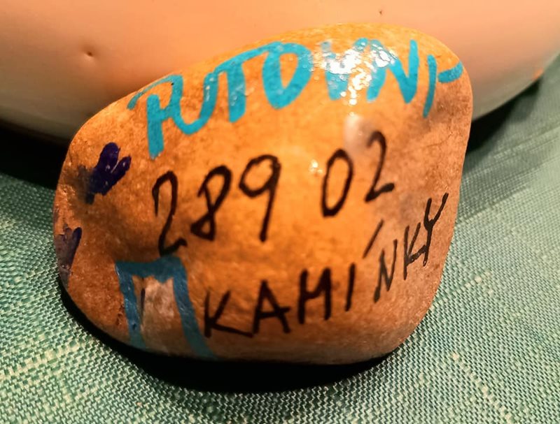 https://i3.imageban.ru/out/2021/08/29/83060ceca6ed15030f33d3d27504e86e.jpg