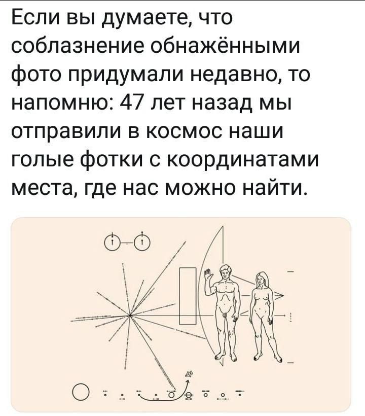 Идеальный дикпик. Шутки про дикпик. дикпик мем. дикпики что это означает. шуточный дикпик.