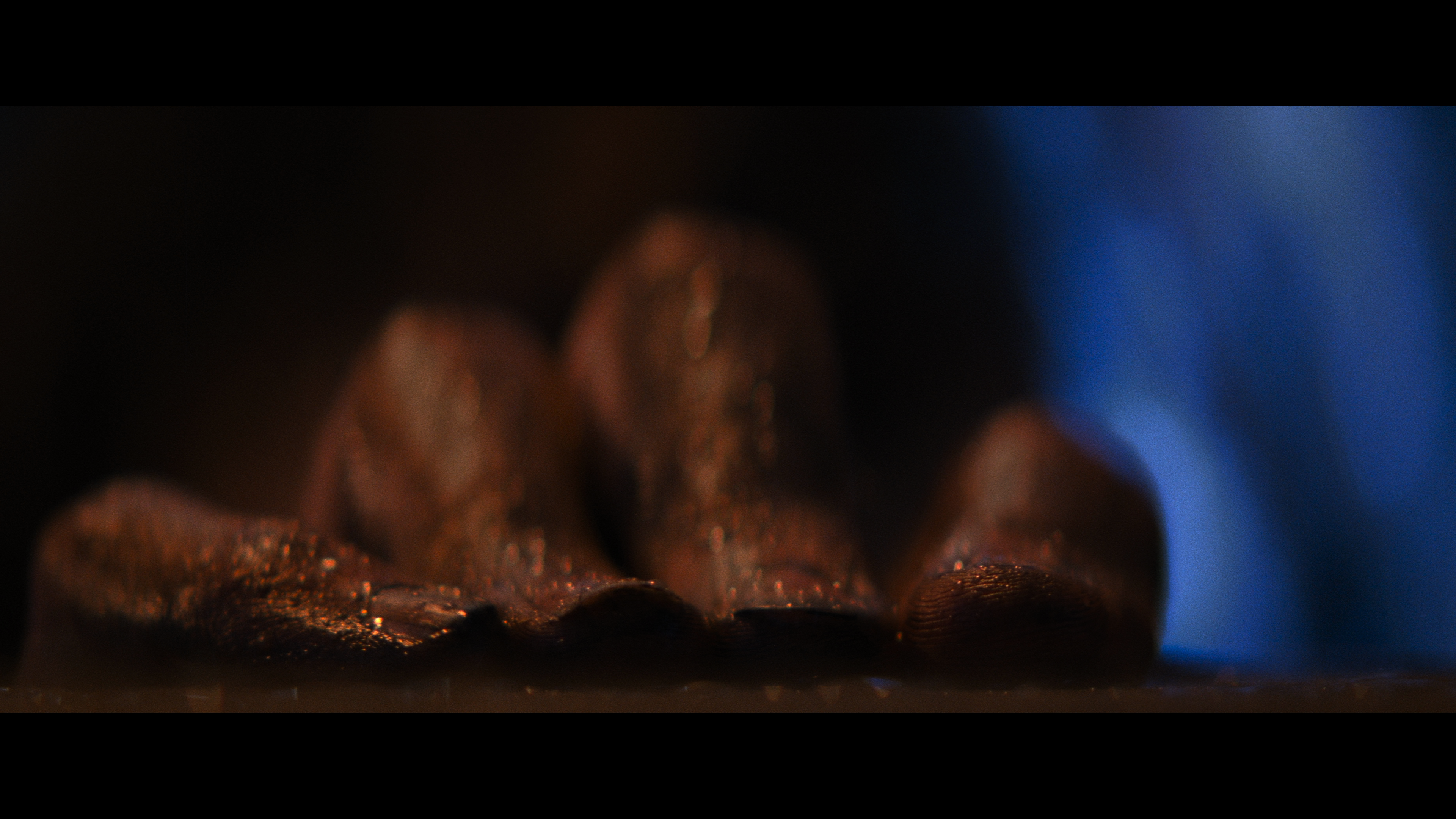 Alien.1979.Directors.Cut.2160p.UHD.BDRemux.HDR10+.DoVi.Hybrid.P8.DTS-HD.MA.5.1.by DVT.mkv_20211110_201125.380.png