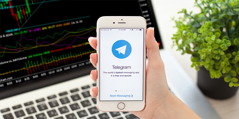 Трейдинг в Telegram: виды мошенничества и как выбрать честный канал