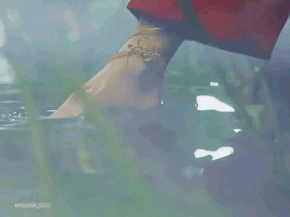 0136d41691fcc7f4d6e3f6443772a2bd.gif