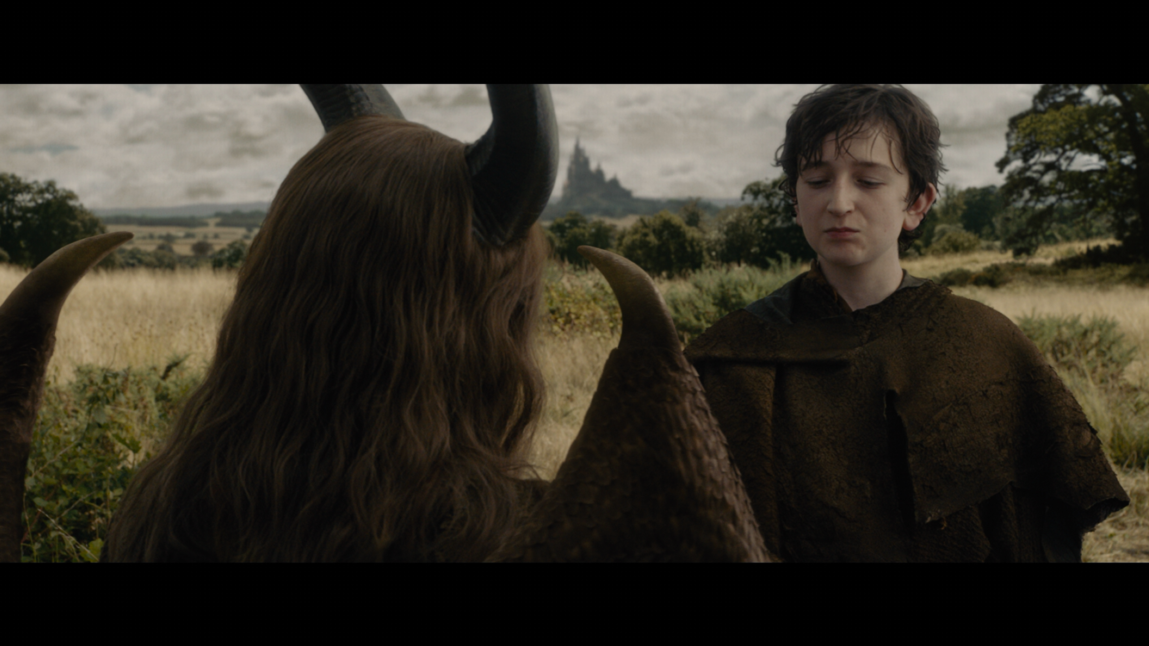 Maleficent.2014.2160p.UHD.BDRemux.TrueHD.Atmos.7.1.P8.HYBRID.DoVi-DVT.mkv_000620.839.png