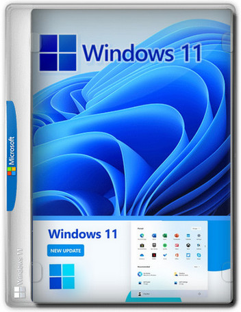 Windows 11 Pro Version 21H2