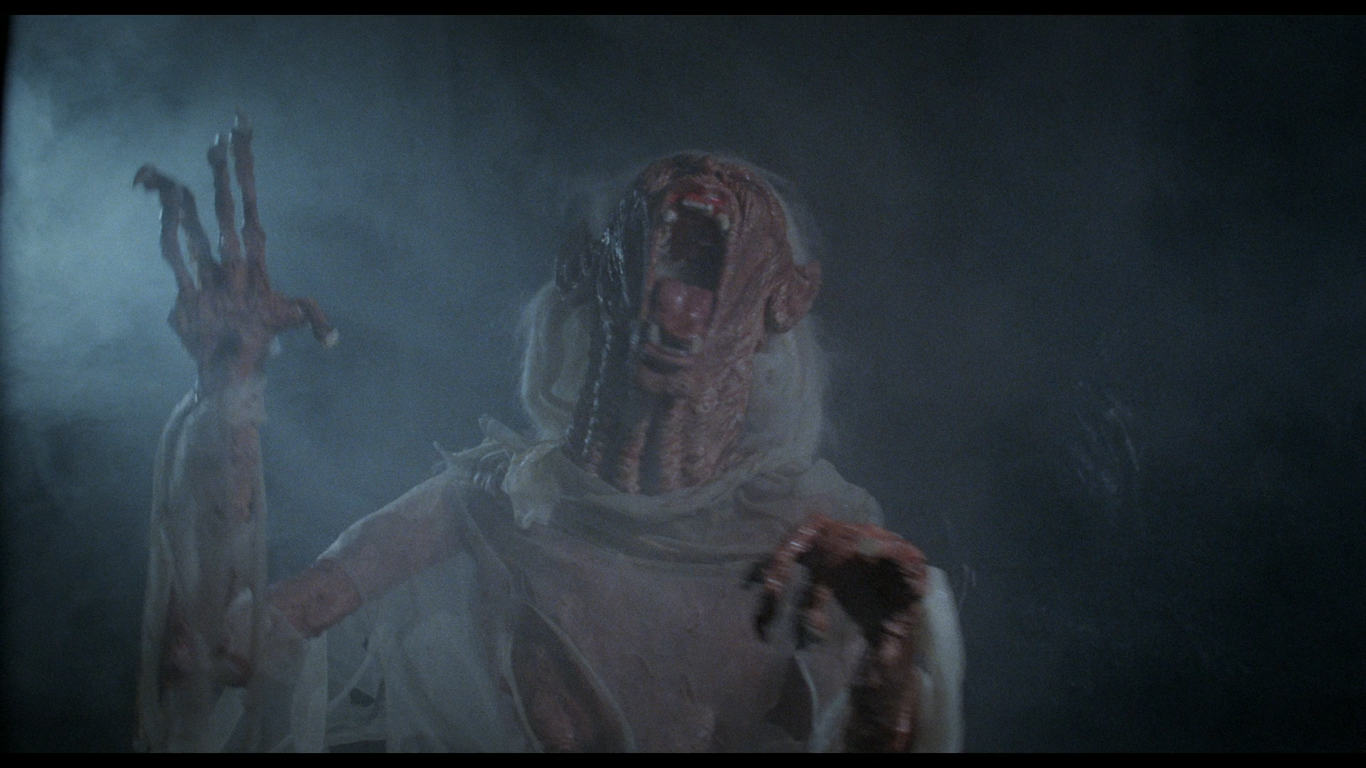 DVDFab Player 5 2022-02-07 10-03-33-37.png