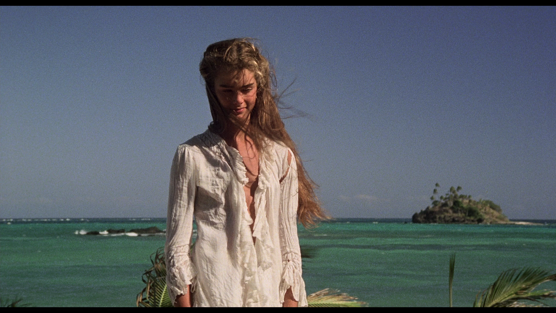 The.Blue.Lagoon.1980.Eureka!BDRemux.1080p[(134622)08-36-28].PNG