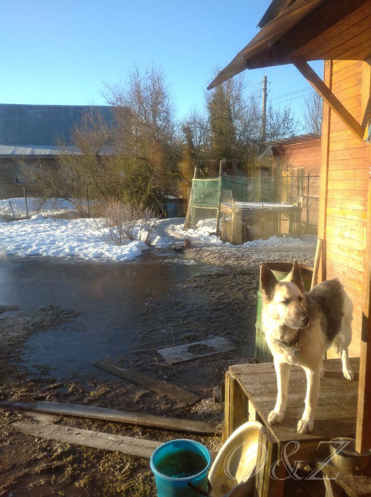 photo_2022-04-14_06-41-32 (2).jpg