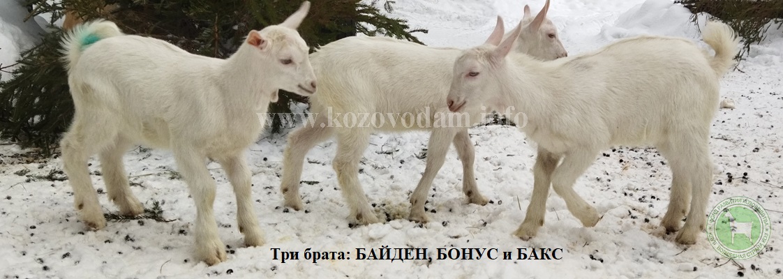 Байден Бонус БаксТереза.jpg