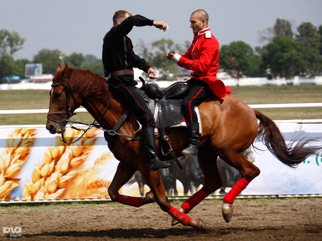 1 мужчина 1 конь. Джигитовка конный спорт. Казачья джигитовка. Джигитовка донских Казаков. Конный спорт джигитовка Казачья.