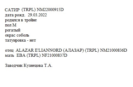 Сатир анк Татьяна Моджо.jpg