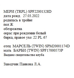 Мери анк Людмила 65.jpg