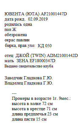 Ювента анк Натка.jpg