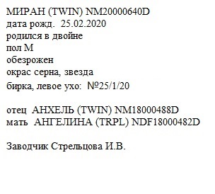 Миран анк Ирина Валентиновна.jpg