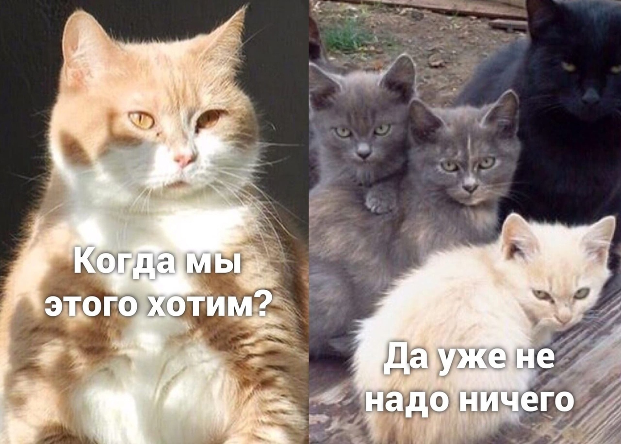 pa3.jpg