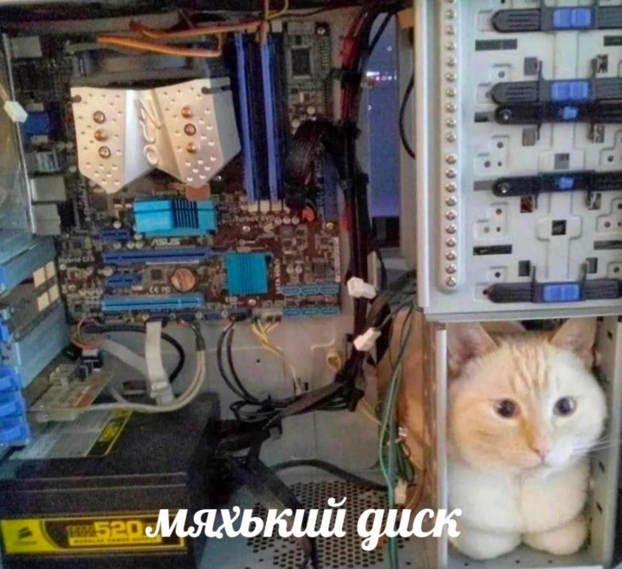 pFmrvWus.jpg