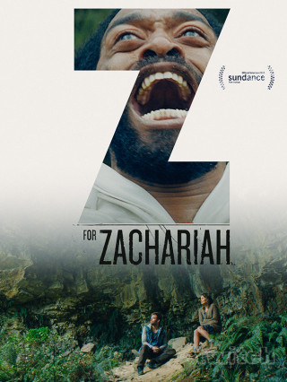 Z - значит Захария / Z for Zachariah (2015) BDRip-AVC | L1