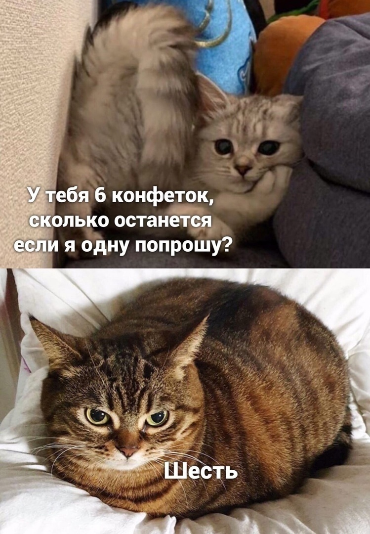 dB-OOddfR-E.jpg